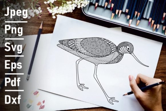 Zentangle Vector Avocet